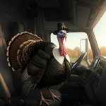 ThanksgivingDriving